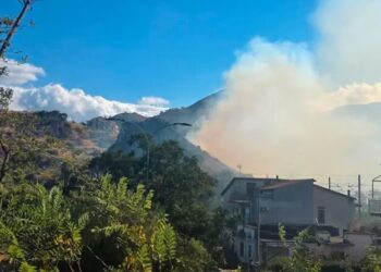 Incendio tra Praia a Mare e Tortora, fiamme vicine ad abitazioni e attività produttive